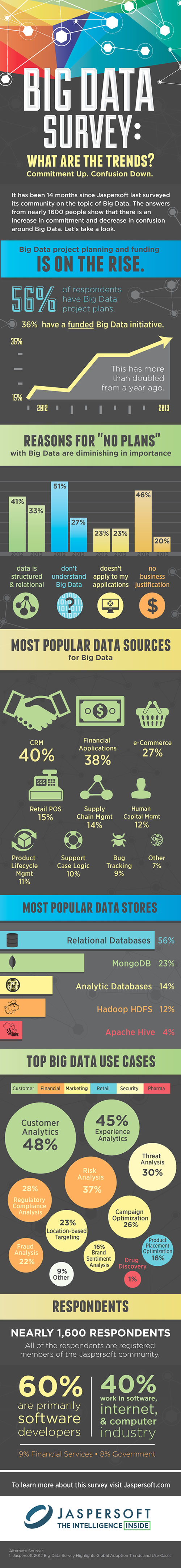 Jaspersoft Big Data Survey Info