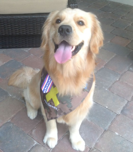 Dalton, CTS Service Solutions' Chief Happiness Officer supporting our veterans.