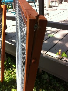 photo 2-4