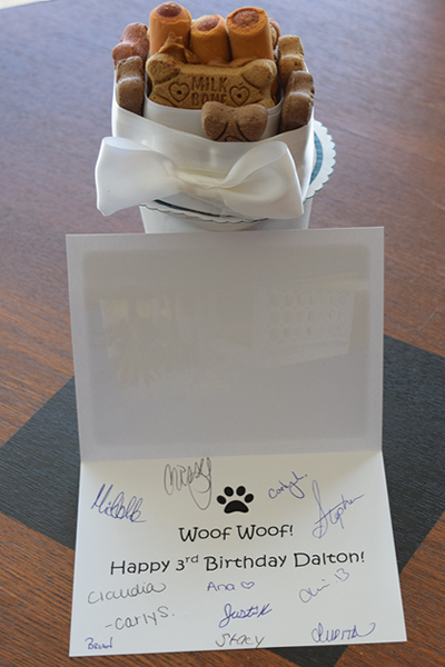 cts_post_2016-03_wow-customers-costa-deste-gift-2_EXP